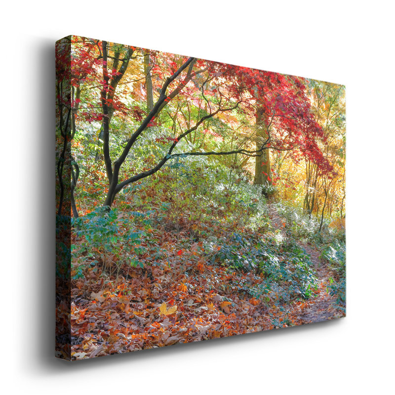 Winston Porter Secret Garden On Canvas by J Paul Print & Reviews Wayfair